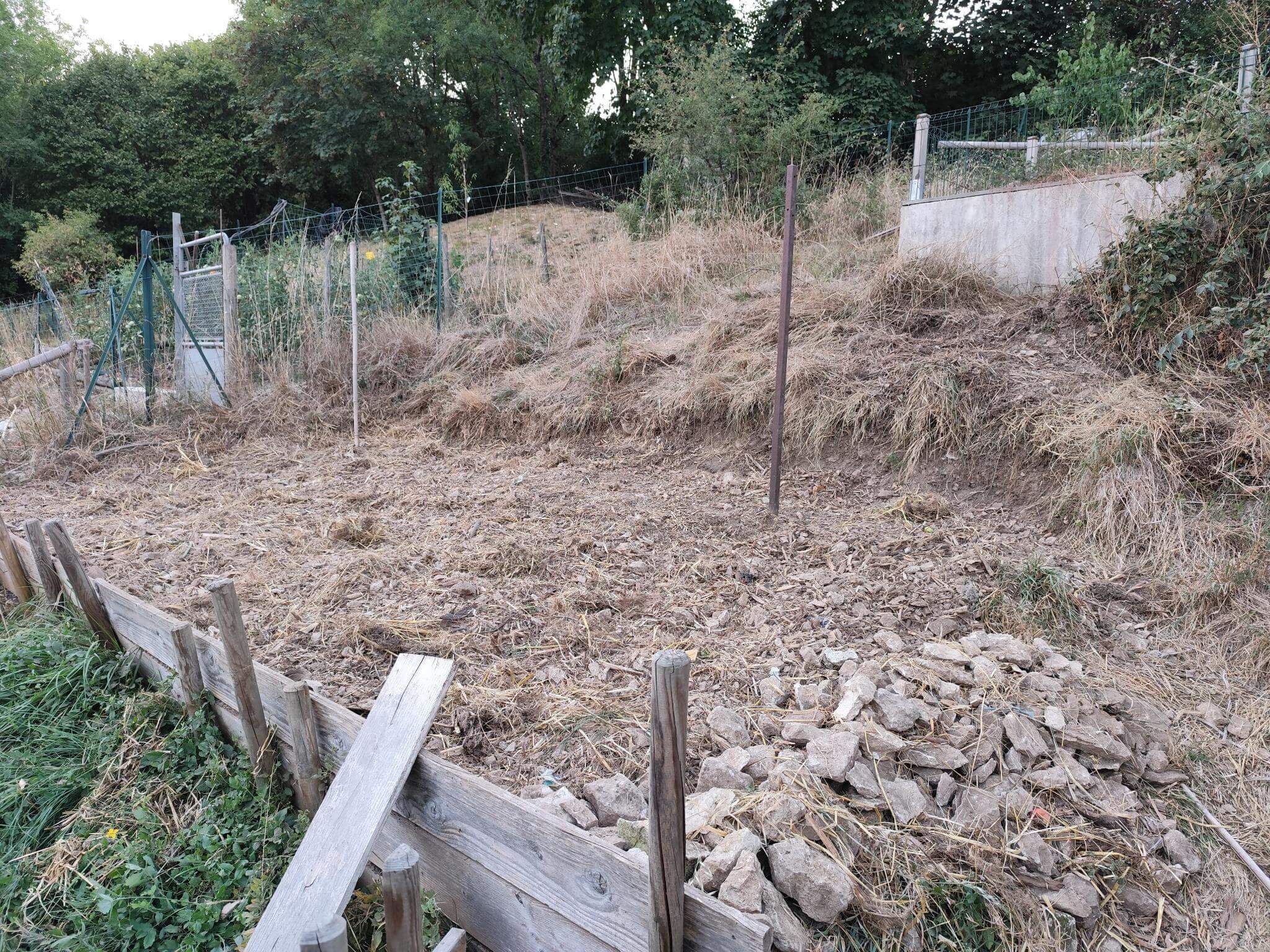 Nouvelle parcelle en cours de restauration
